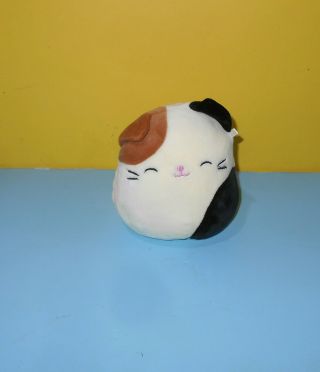 Kellytoy Squishmallow Mini 5 " Cameron The Cat Soft Plush Doll Pillow Toy