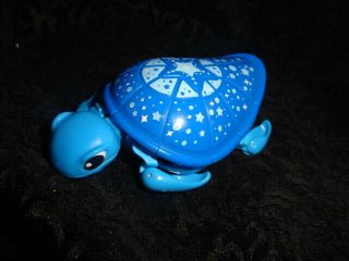 Little Live Pets Starry The Magical Turtle Swim & Walk Blue Turtle
