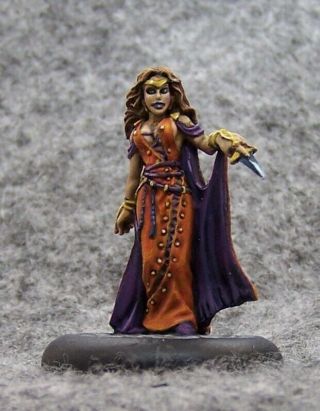 Painted Reaper 03138 Necromancer With Tome (metal)