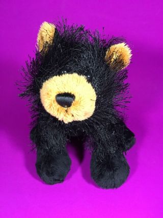 Cute 8 " Ganz Webkinz Black Grizzly Bear Bean Plush Animal Pal Hm004