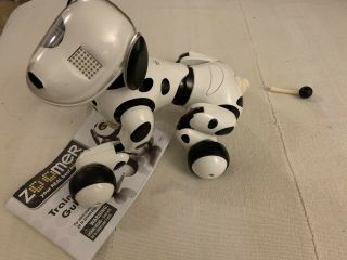 Zoomer Zoomie Dalmation Dog Robotic Voice Activated By Spin Master 2