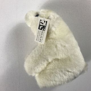 Fiesta Polar Bear Plush White Teddy Nwf Small 7 " Stuffed National Wildlife Toy