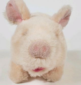 Pudgey the Piglet Battery Operated Plush Pig By Iwaya Corporation 1986 5