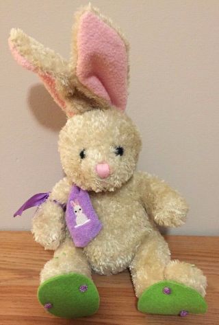 Easter Bunny Rabbit Soft Beanbag Plush 10 " H W/carrots On Toes By Galerie