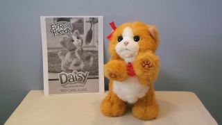 Furreal Friends Daisy Kitty Cat - Plays - With - Me Kitty - Hasbro 2012