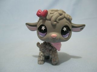 Littlest Pet Shop Lamb Sheep 477 With Collar Accessory Lps Authentic
