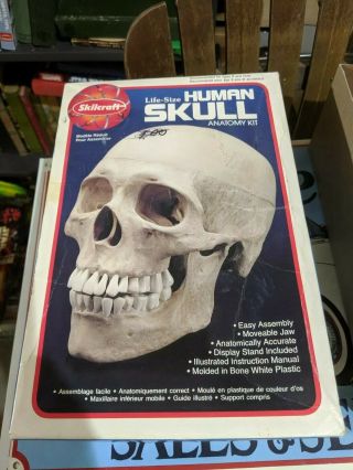 Skilcraft Life Size Human Skull Model Kit