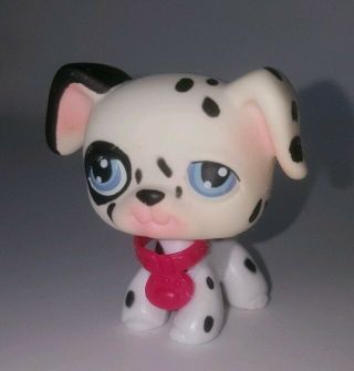 Littlest Pet Shop Lps Dalmation Puppy Dog Blue Dot Eyes Red Magnet 44 W/ Collar