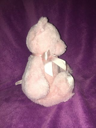 Baby GUND PINK My First Teddy Bear Stuffed Animal Plush,  12” EUC 3