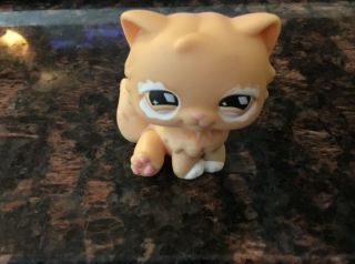 Littlest Pet Shop - Persian Cat Kitten 490 Peach Orange With Diamond Eyes - Lps