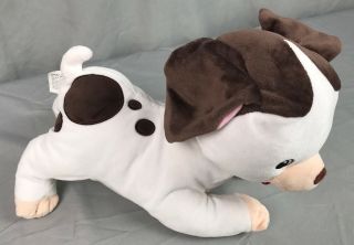 The Pokey Little Puppy Dog Book Character stuffed animal plush Yottoy Kohl ' s 3