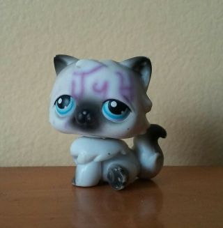 Littlest Pet Shop Black And White Persian Cat 60 W/ Blue Eyes