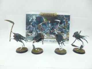 Games Workshop Warhammer Age Of Sigmar Nighthaunt Grimhast Reapers Pro Painted