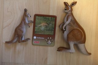 Fisher Price Wild Adventures Kangaroos Smithsonian Talking Fact Cardfrom Wild