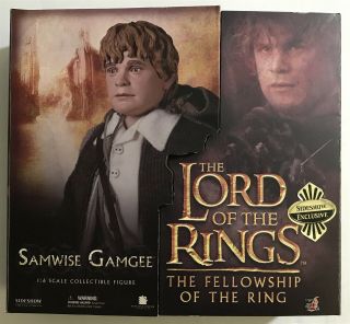 Sideshow Hot Toys Lord Of The Rings 12 " 1:6 Scale Figure Samwise Gamgee Misb