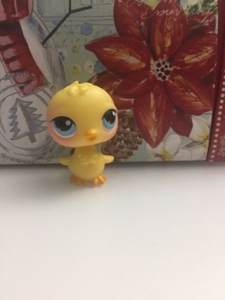 Authentic Hasbro Lps Littlest Pet Shop 13 Yellow Chick Bird With Blue Eyes