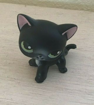 Hasbro Littlest Pet Shop Lps Black Cat 336