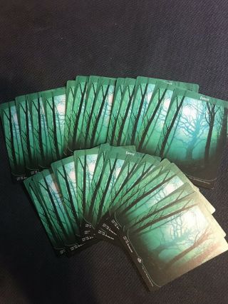 Magic The Gathering - Forest - Unstable X 26 - Nm - Land