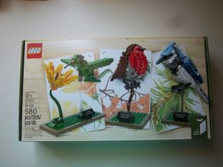 Lego Ideas 21301 Birds - Nisb