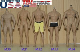 Phicen Tbleague 1/6 Steel Skeleton Male Muscular Seamless Figure Body U.  S.  A.