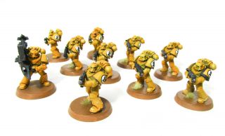 Warhammer 40k Space Marine Imperial Fists Squad - Painted
