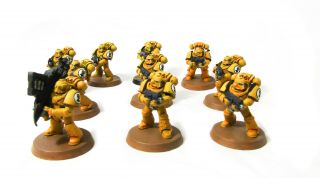 Warhammer 40k Space Marine Imperial Fists - Painted