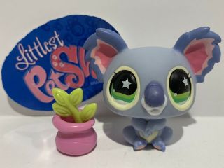 Authentic Littlest Pet Shop - Hasbro Lps - Koala Bear 872 W/ Accessories
