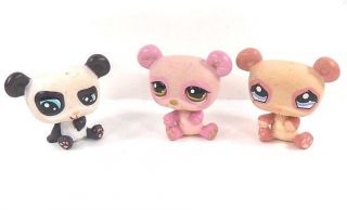 Littlest Pet Shop 3 Panda Bears White Tan And Pink Hasbro Aqua Blue Brown Eyes
