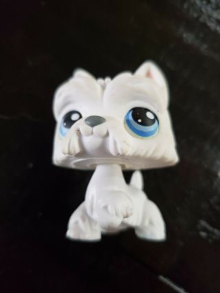 Littlest Pet Shop 24 White Scottie Dog With Blue Eyes Lps