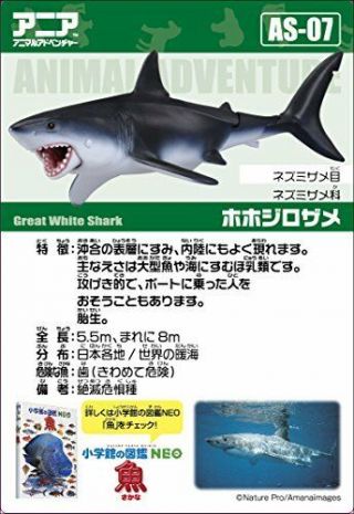 Takara Tomy ANIA Animal AS - 07 Great White Shark Mini Action Figure 2