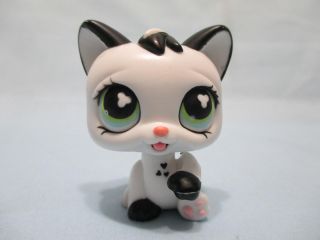 Littlest Pet Shop Magic Motion Black And White Cat Licking Paw 493 Authentic