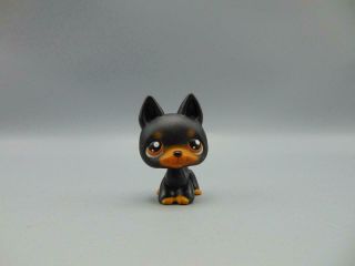 Littlest Pet Shop 92 Black/brown German Shepard Dog Orange Eyes Lps
