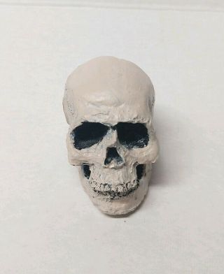 Custom 1/4 Scale Predator Human Trophy Skull For 18 " Neca Figure