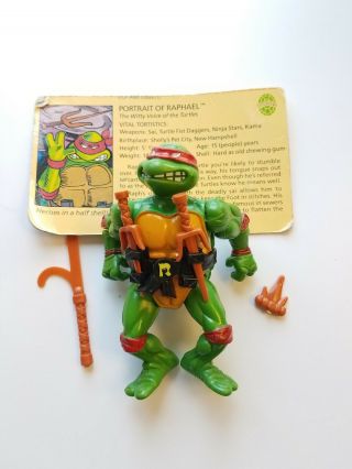 Teenage Mutant Ninja Turtle Tmnt Ralphael W File Card 1988 E1