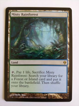Magic: The Gathering (mtg) Card - Misty Rainforest (zendikar)