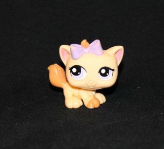 Littlest Pet Shop Yellow Kitten 1337 Purple Eyes Cat Purple Bow Orange (kt06)