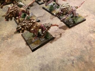 Warhammer Age of Sigmar Skaven Wolf Rats Conversion (made out of direwolves) 2