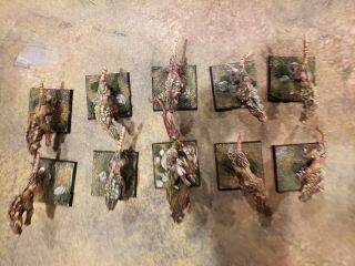 Warhammer Age of Sigmar Skaven Wolf Rats Conversion (made out of direwolves) 5