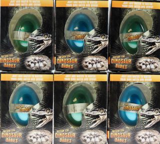 Set Of 6 Grow Your Own Dinosaur Babies Animal Hatching Novelty Eggs