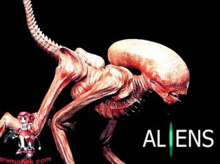 Alien Dog Burster Xenomorph Movie Sci - Fi 1/1 Figure Vinyl Model Kit 12 "