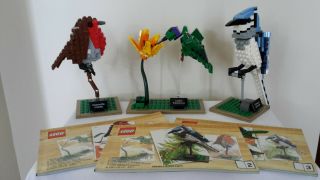Lego Ideas 21301 Birds: Blue Jay,  Hummingbird And Flower,  Robin