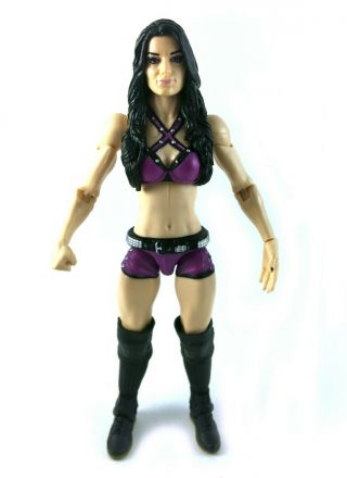 Paige Wwe Mattel Elite Series 34 Action Figure Nxt Flashback Diva Wrestler