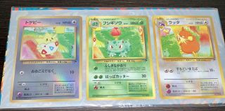 Pokemon Cards Southern island Complete Japanese Set 3