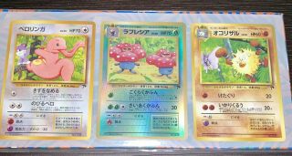 Pokemon Cards Southern island Complete Japanese Set 5