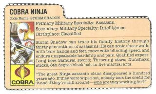 1984 Cobra Storm Shadow V.  1 File Card Peach Filecard Bio Gi Joe Jtc