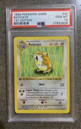1999 Pokemon Base Set 1st Edition Raticate Psa 10
