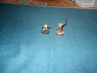 Games Workshop Lord Of The Rings Painted King Theoden And Gamling
