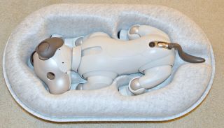 Sony AIBO ERS - 1000 Entertainment Robot Dog - Ivory White 2