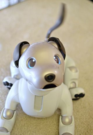 Sony AIBO ERS - 1000 Entertainment Robot Dog - Ivory White 7