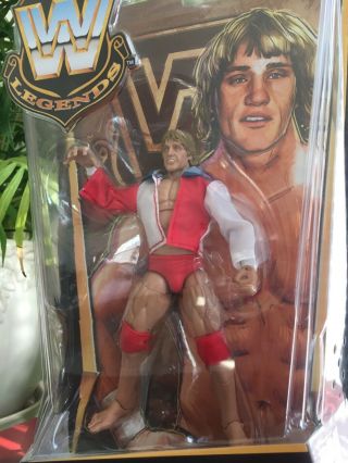 Mattel Wwe Wrestling Action Figures In The Box